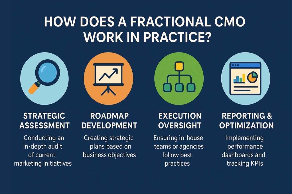 How does a fractional CMO work in practice